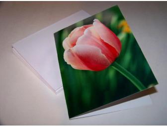 Blank notecards (20) with photos by Caroline Beidler