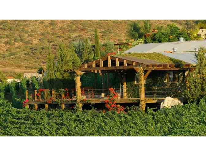 Guadalupe Valley Winery Tour and Ensenada Overnight Stay for 1