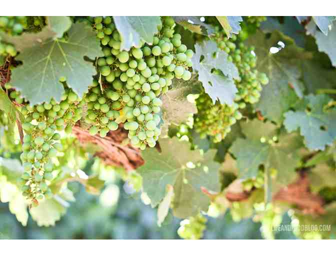 Guadalupe Valley Winery Tour and Ensenada Overnight Stay for 2