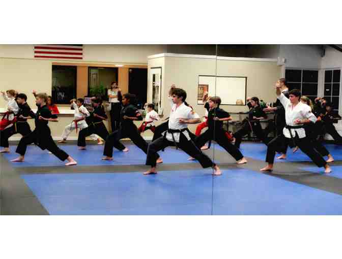 Freestyle Martial Arts:  1 Private Lesson + 1 Month Freestyle Martial Arts Classes