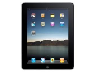 Apple iPad Tablet (16GB, Wifi)