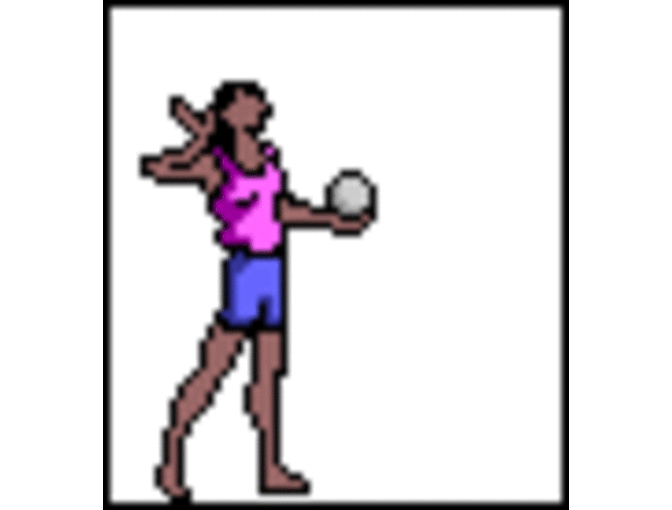 One Free Registration for CYO Girls Volleyball 2014 Season