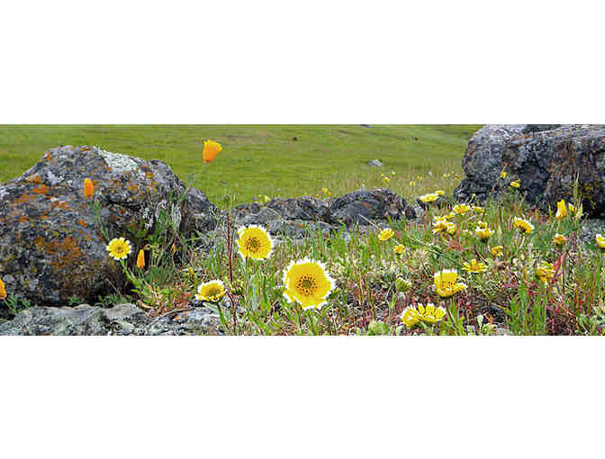 3 Hour Guided Nature Hike and Picnic