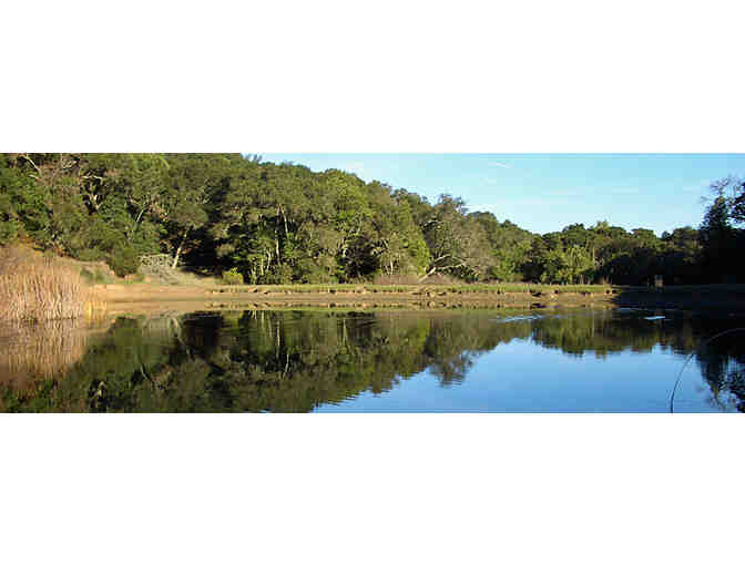 3 Hour Guided Nature Hike and Picnic