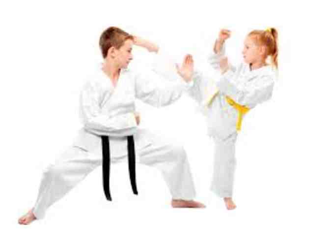 Martial Arts Group Lessons