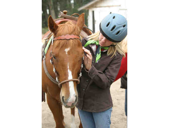 Horseback riding lesson from a master in AG-- 90 min