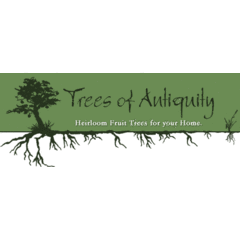 Sponsor: Trees of Antiquity
