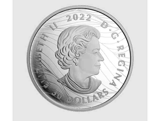 2 oz. Fine Silver Coin - Visions of Canada