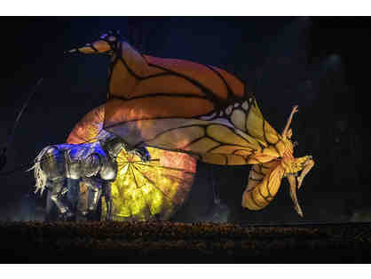 Two Tickets to the Premiere of Cirque du Soliel's Luzia in Toronto