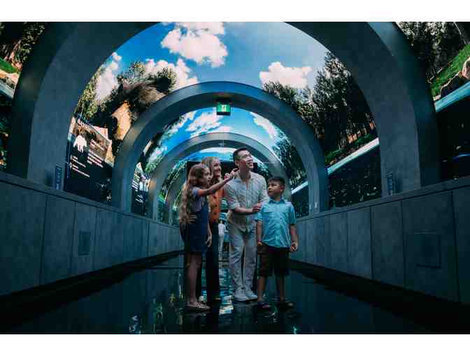 Four Tickets to Arcadia Earth Toronto (1/2)