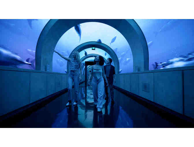 Four Tickets to Arcadia Earth Toronto (2/2)