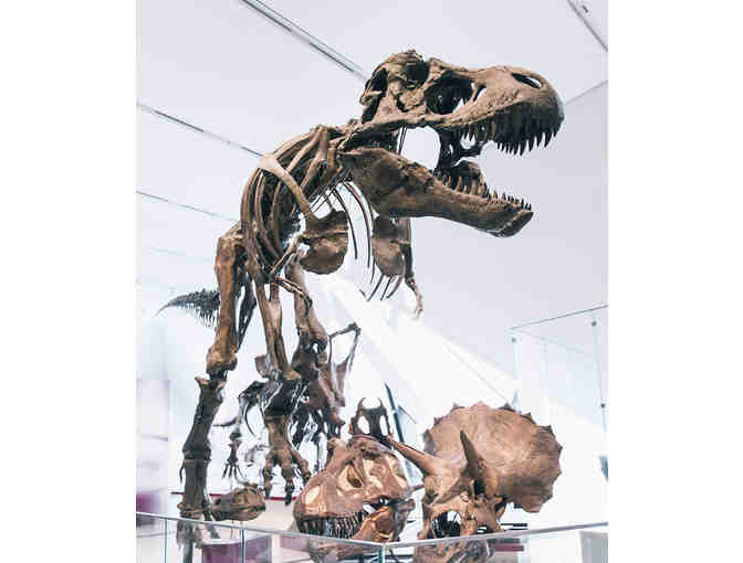 Discover the Heart of Toronto!