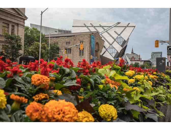 Four (4) Pairs of tickets for the Toronto City Highlights Express Tour