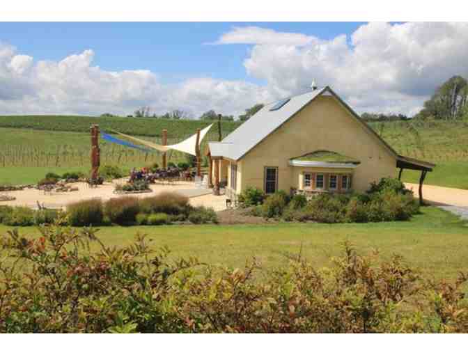 Vineyard Tour and Wine Tasting for 8