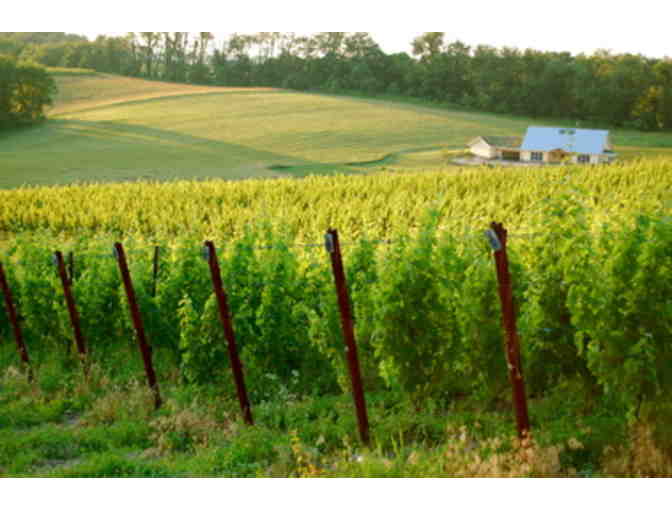 Vineyard Tour and Wine Tasting for 8