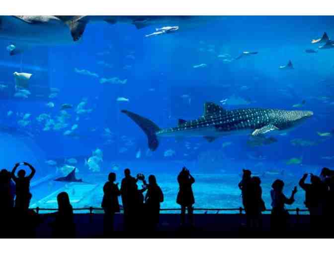 VIP Family Membership to The National Aquarium