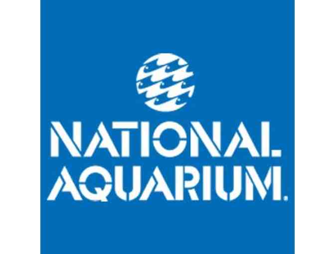 VIP Family Membership to The National Aquarium