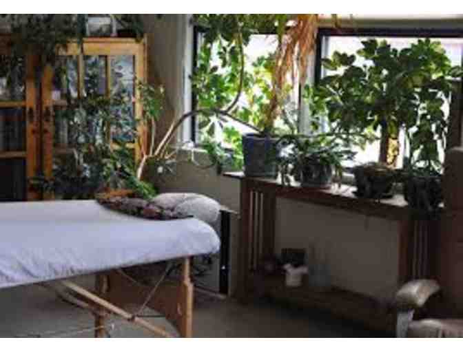 One 1-Hour Acupuncture or Shiatsu Therapy Session