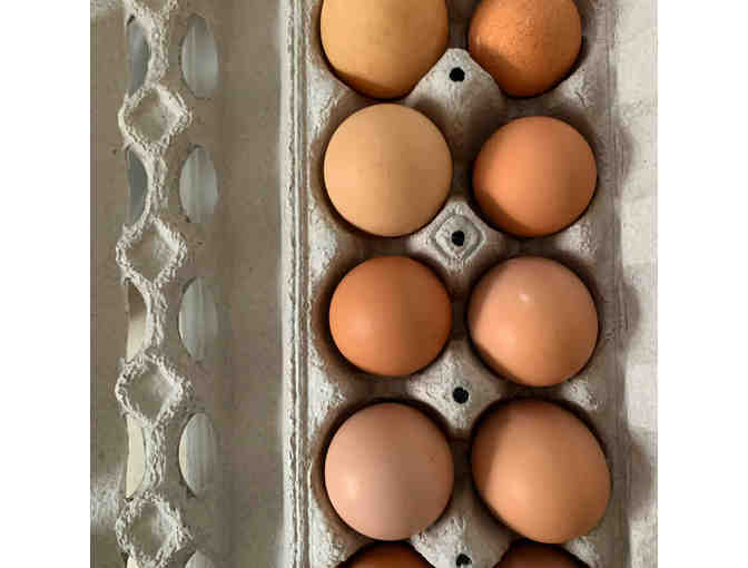 1 Dozen Freshly Laid Eggs from Hannah Moloney - Photo 1