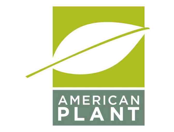 American Plant - $100 Gift Card