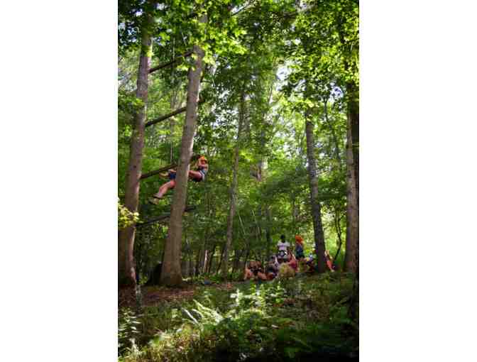 Camp Twin Creeks - $1,500 Certificate for 2-Week Session