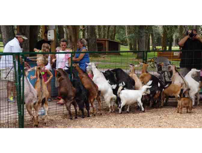 Green Meadows Petting Farm - Family Pass for 4