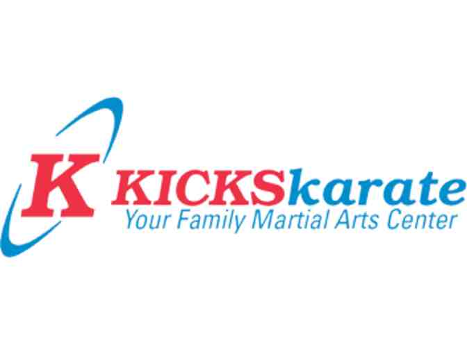Kicks Karate Birthday Bash - Photo 2