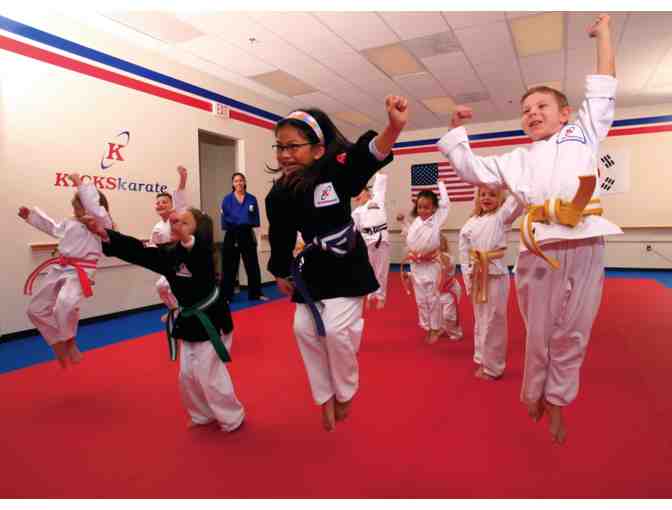 Kicks Karate Birthday Bash - Photo 3