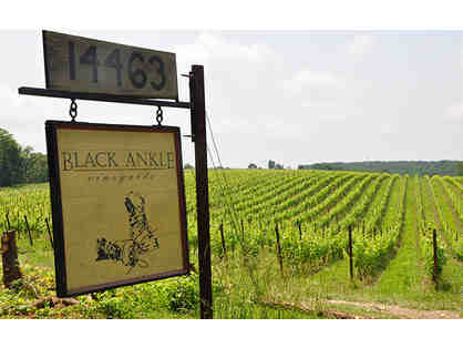 Black Ankle Vineyards Tour and Wine Tasting for 8