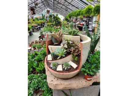 Meadows Farms Nursery: $20 Gift Card