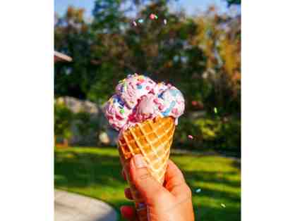 Ice Cream at the Park with Senorita Jackie