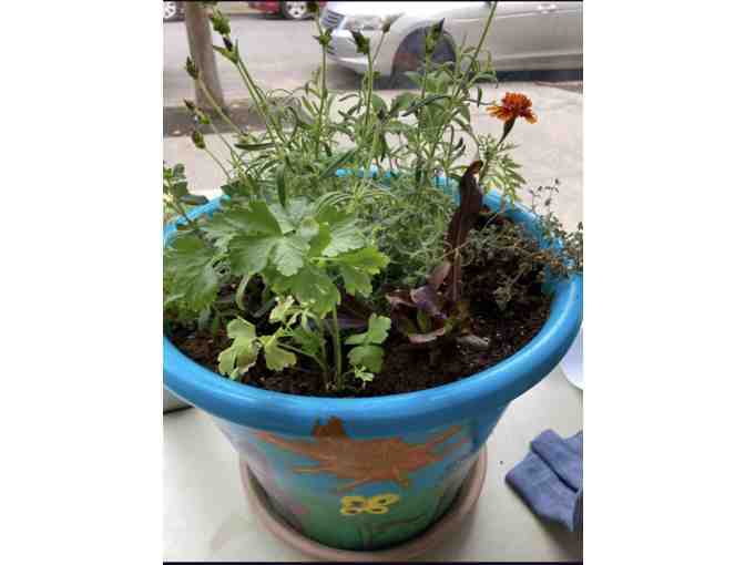 Bayou Room Herb/Flower Planter