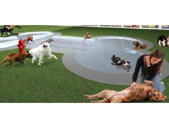 Paradise 4 Paws Deluxe Dog Boarding