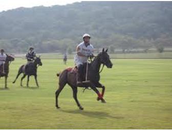 20 Tickets to a Dallas Polo Club Game and Lessons