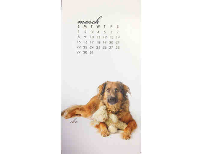 2015 Tiny Dog Calendar