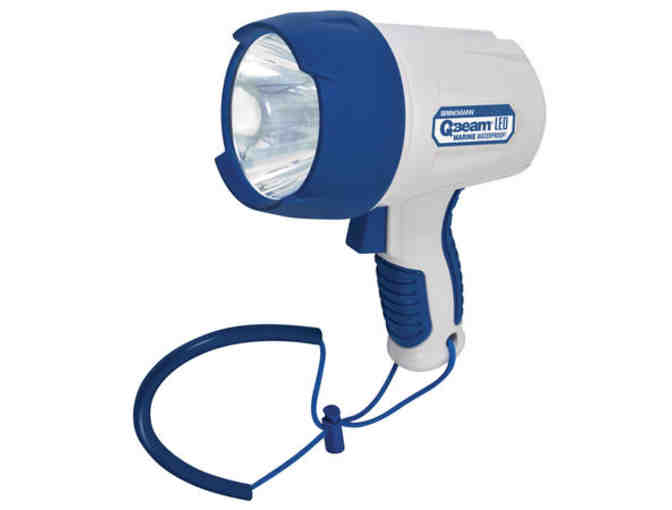 Brinkmann LED Spot Light with Night Vision