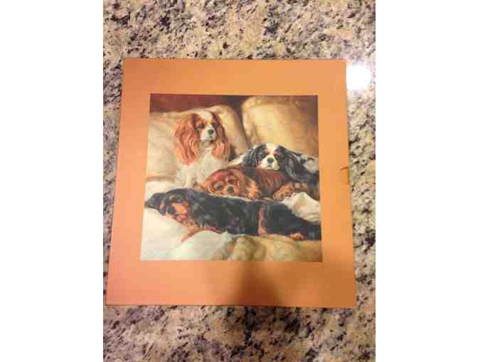 Cavalier King Charles Spaniel Books, Calendar and Note Cards