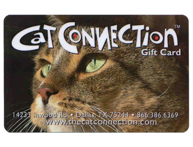 Cat Connection Boarding & Spa Pass