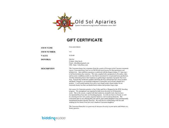 Old Sol Queens - Caucasian - 2 Each