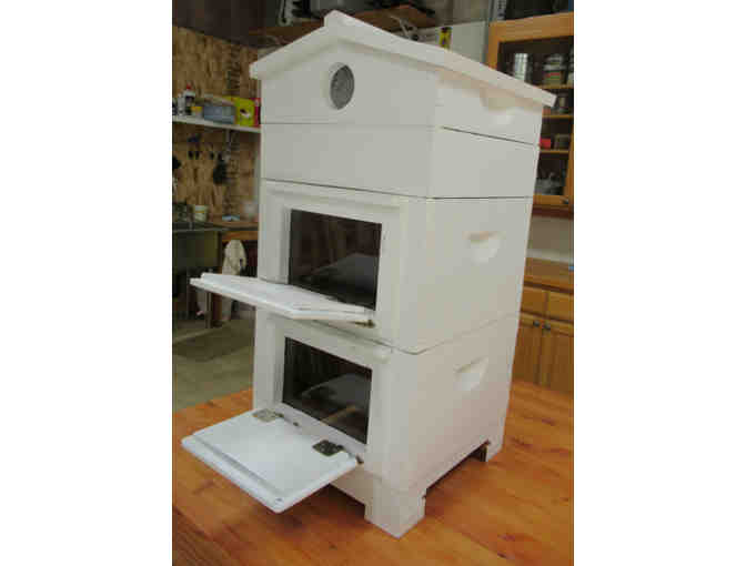 Warre Hive (complete)