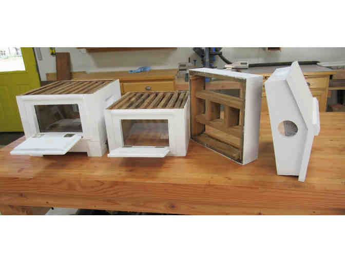 Warre Hive (complete)