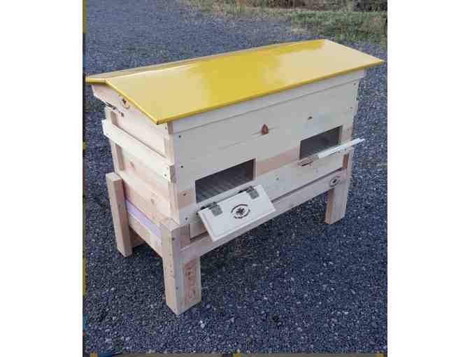 'Valkyrie' Long Hive