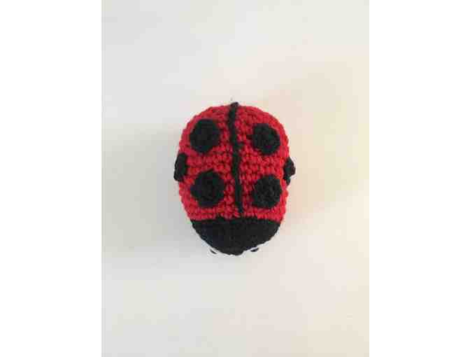 Crocheted Bee and Ladybug by Franchi Torchia