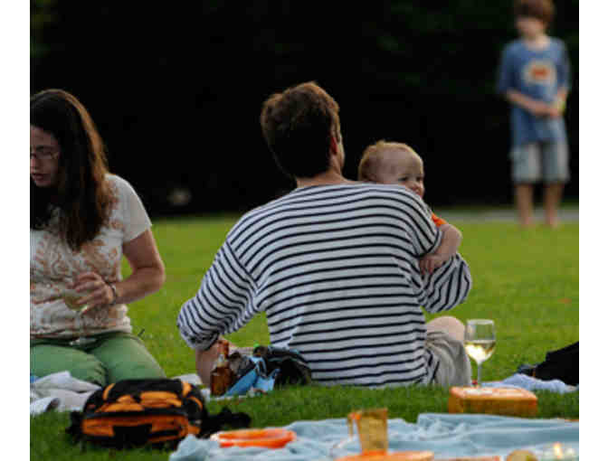 6 tickets (2 adults, 4 children) for the Tanglewood Summer Family Concert on July 9, 2016