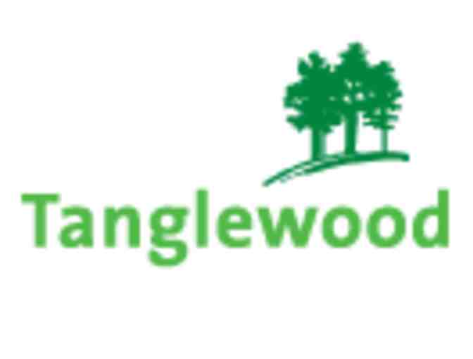 6 tickets (2 adults, 4 children) for the Tanglewood Summer Family Concert on July 9, 2016