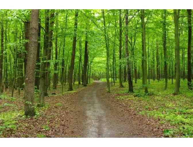 A Nature Walk for your child and a friend with Mrs. Prokopiak, Mrs. Ha, and Mrs. Hammer