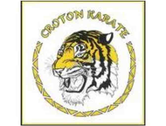 3 months training in the CHILDREN's program at Croton Karate