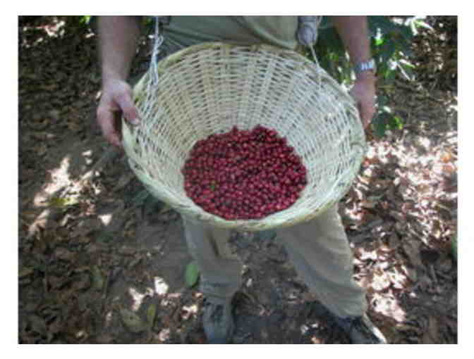 A $25 gift certificate to Coffee Labs Roasters