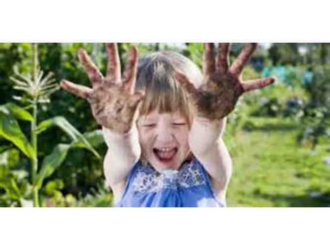 Growing through Gardens - $250