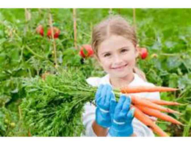 Growing through Gardens - $250